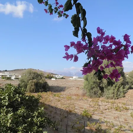Aparthotel Galaxias Kalamaki (Heraklion)